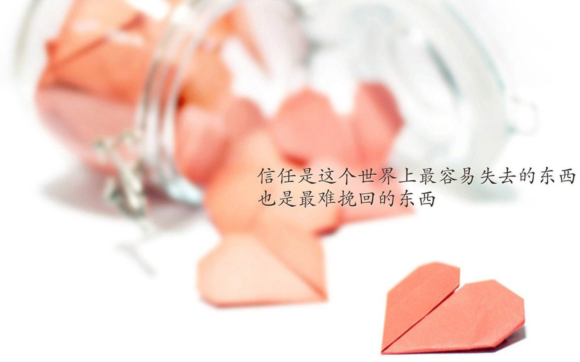 足球赛场再掀热潮，全球球迷热情期待，全球足球球迷人数 45亿