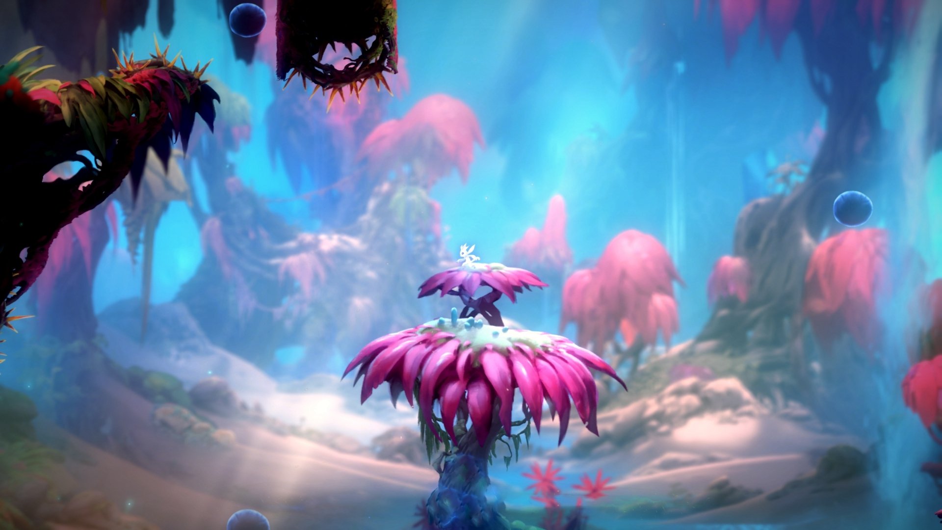 全国青少年武术套路锦标赛精彩绝伦,全国青少年武术套路锦标赛精彩绝伦视频