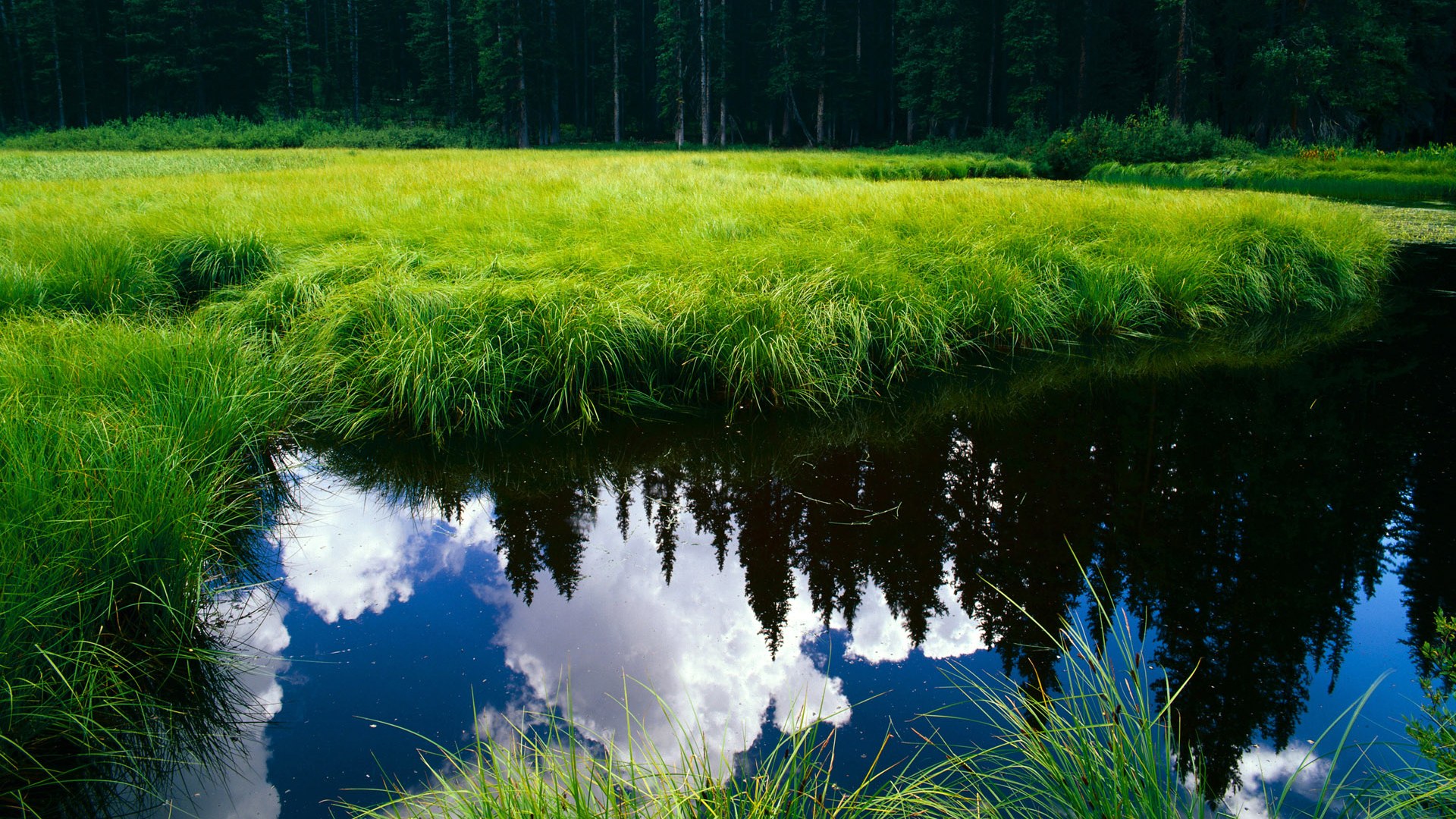 高校体育专业人才培养质量保障体系,体育人才培养方案心得体会