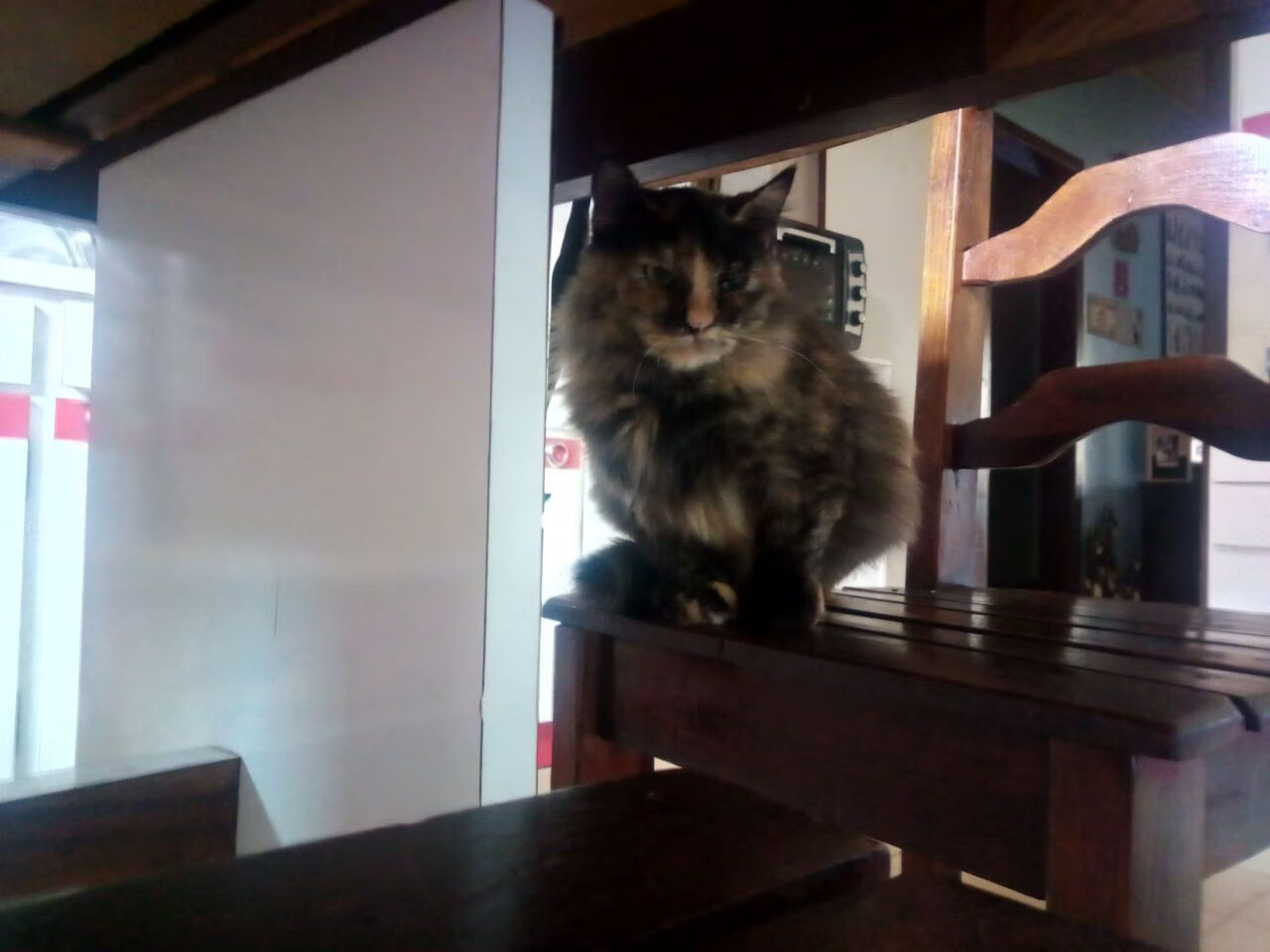 爱游戏体育app-CBA外援首次亮相 引发球迷高度关注，cba外援规则变化历史