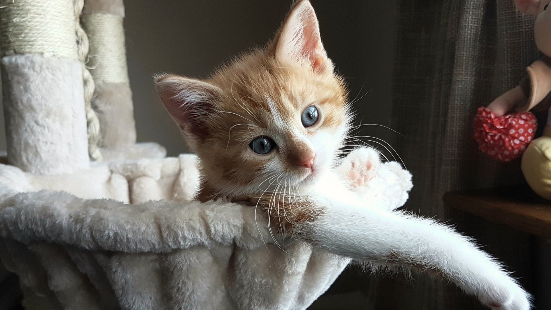 爱游戏娱乐-中国男篮争夺奥运门票 每场比赛全力以赴，中国男篮奥运会选拔赛