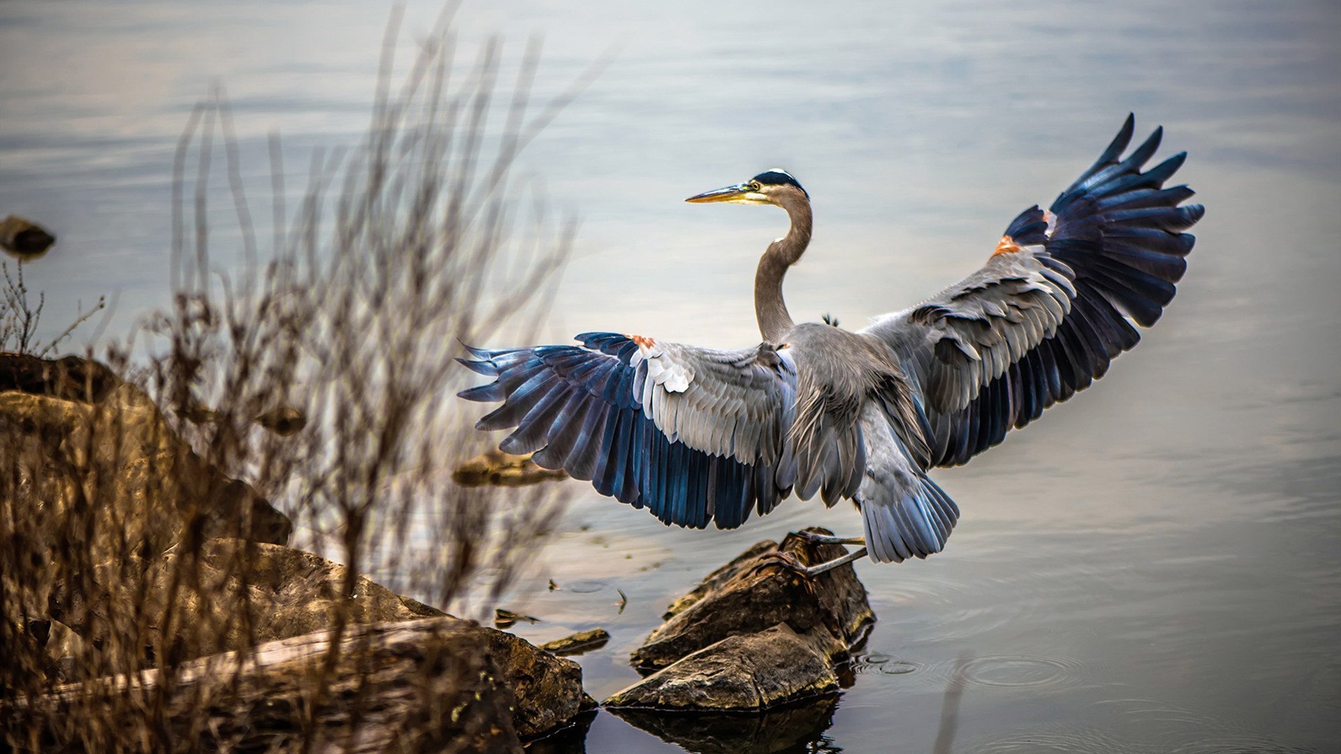 中国香港乒乓球未来展望:如何通过科学训练提升球员个体水平,香港乒乓球强吗