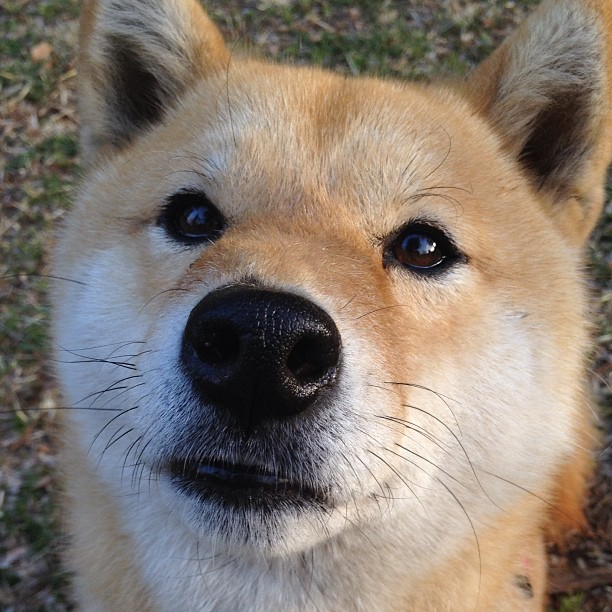 AYX官网-体育创业项目孵化平台启动首期加速营，体育科技孵化中心