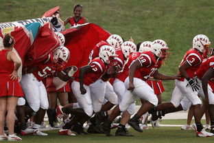 爱游戏体育（AYX）官方APP下载-球迷助威声点燃比赛氛围，球迷助威口号