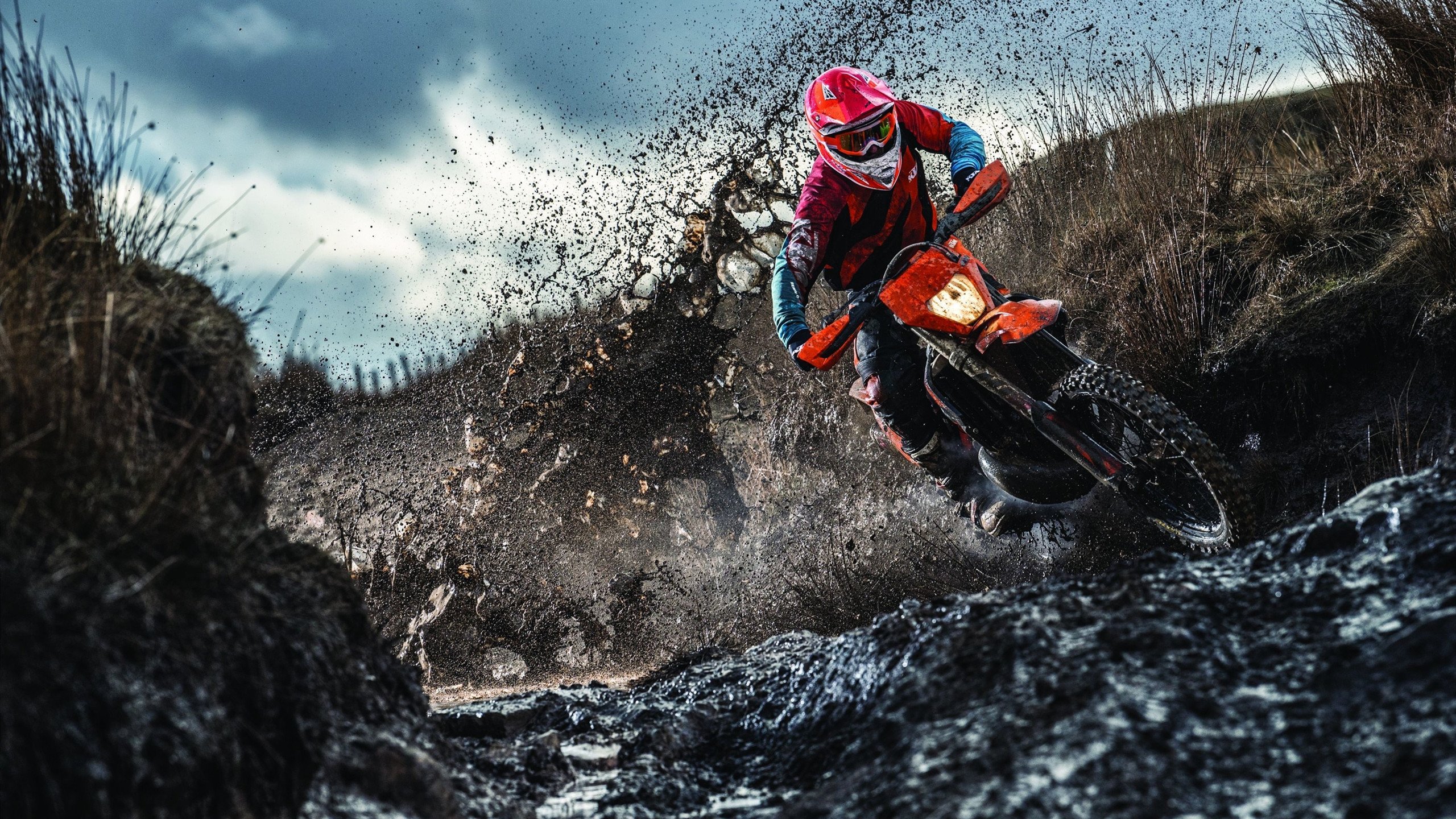 足球行业报告显示大众关注度持续增长,足球受众